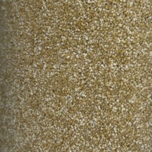 Tapijt Coupon 300 x 400